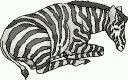 animasi-bergerak-zebra-0017