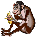 animasi-bergerak-simpanse-0032