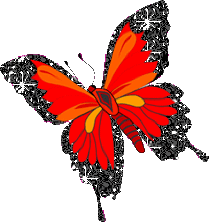 animasi-bergerak-kupu-kupu-0368