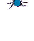 animasi-bergerak-laba-laba-0169