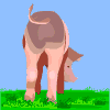 animasi-bergerak-babi-0161