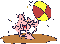 animasi-bergerak-babi-0224