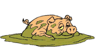 animasi-bergerak-babi-0229