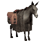 animasi-bergerak-wild-west-0025