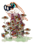 animasi-bergerak-kelinci-0595
