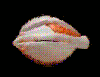 animasi-bergerak-mata-0072