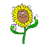 animasi-bergerak-bunga-matahari-0001