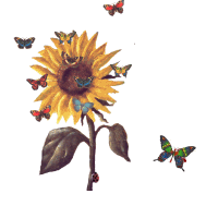 animasi-bergerak-bunga-matahari-0030