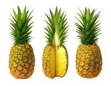 animasi-bergerak-nanas-0014