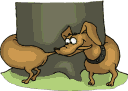 animasi-bergerak-anjing-dachshund-0012