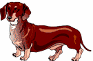 animasi-bergerak-anjing-dachshund-0069