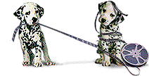 animasi-bergerak-anjing-dalmatian-0013