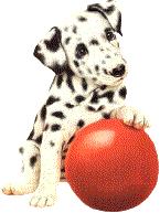 animasi-bergerak-anjing-dalmatian-0023