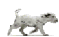 animasi-bergerak-anjing-dalmatian-0027