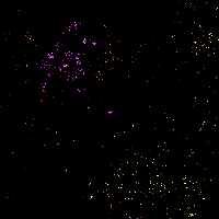 animasi-bergerak-kembang-api-0097