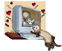 animasi-bergerak-musang-cerpelai-0019