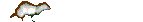 animasi-bergerak-musang-cerpelai-0023