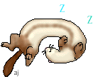 animasi-bergerak-musang-cerpelai-0054