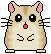 animasi-bergerak-hamster-0012
