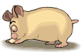 animasi-bergerak-hamster-0020
