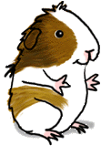 animasi-bergerak-hamster-0114