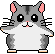 animasi-bergerak-hamster-0159