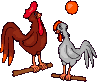 animasi-bergerak-ayam-0093