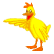 animasi-bergerak-ayam-0114