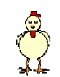 animasi-bergerak-ayam-0117