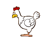 animasi-bergerak-ayam-0123