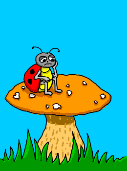 animasi-bergerak-kepik-kumbang-koksi-0098