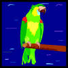 animasi-bergerak-burung-kakatua-0059