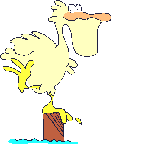 animasi-bergerak-burung-pelikan-0016