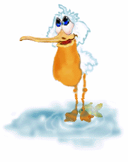 animasi-bergerak-burung-pelikan-0024