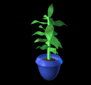 animasi-bergerak-tanaman-tumbuhan-0051