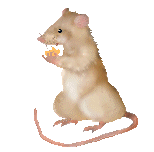 animasi-bergerak-tikus-besar-0042