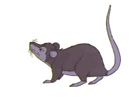 animasi-bergerak-tikus-besar-0126