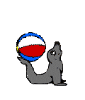 animasi-bergerak-anjing-laut-0008