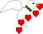 animasi-bergerak-burung-merpati-dara-0002
