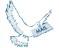 animasi-bergerak-burung-merpati-dara-0007