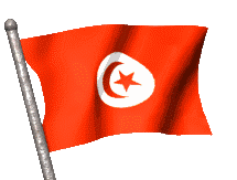 animasi-bergerak-bendera-tunisia-0023
