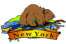 animasi-bergerak-amerika-0252