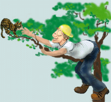 Gambar Animasi Olahraga Orang Manusia Gif Gambar Animasi Animasi Bergerak Gambar Animasi Olahraga Orang Manusia Gif Gambar Animasi Animasi Bergerak