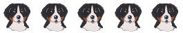 animasi-bergerak-anjing-gunung-bernese-0120