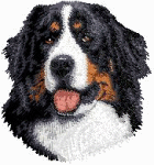animasi-bergerak-anjing-gunung-bernese-0125