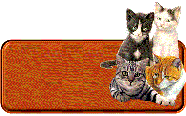 animasi-bergerak-plat-nama-kosong-0740