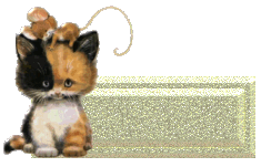 animasi-bergerak-plat-nama-kosong-0756